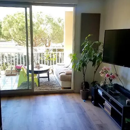 Tres Beau T3 Proche Plages Apartment